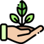 Sprout icon 64x64