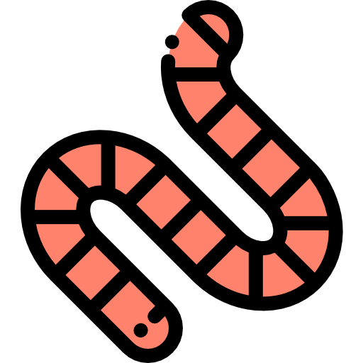 Worm icon