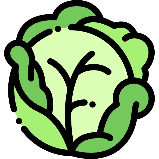 Cabbage 상