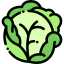 Cabbage icon 64x64
