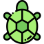 Turtle icon 64x64