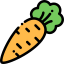 Carrot icon 64x64