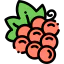 Grapes icon 64x64