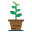 Botanic icon 64x64