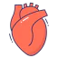 Heart icon 64x64