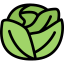 Cabbage icon 64x64