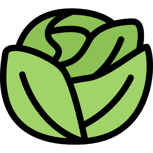 Cabbage 图标
