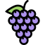 Grapes icon 64x64