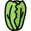 Cabbage icon 64x64