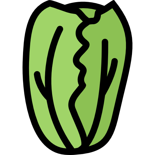 Cabbage icon