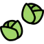 Brussels sprouts icon 64x64