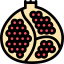 Pomegranate icon 64x64