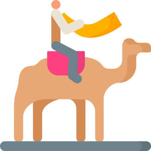 Camel icon