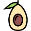 Avocado icon 64x64