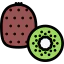 Kiwi icon 64x64