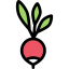 Radish icon 64x64