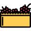 Raspberries icon 64x64