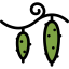 Cucumbers icon 64x64
