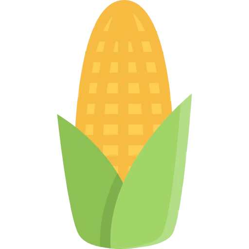 Corn icon