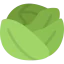 Cabbage icon 64x64
