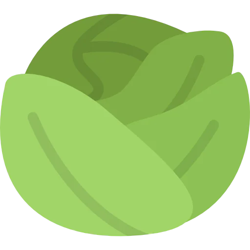 Cabbage icon