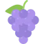Grapes icon 64x64