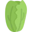 Cabbage icon 64x64