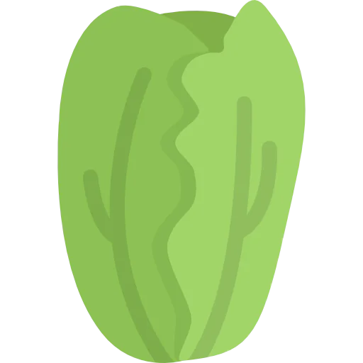 Cabbage icon