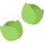 Brussels sprouts icon 64x64
