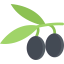 Olives icon 64x64