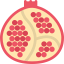 Pomegranate icon 64x64