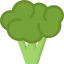 Broccoli icon 64x64