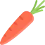 Carrot icon 64x64
