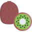 Kiwi icon 64x64