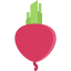 Beet icon 64x64
