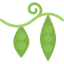 Peas icon 64x64