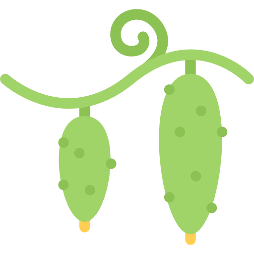Cucumbers icon