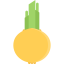 Onion icon 64x64