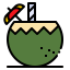 Coconut water icon 64x64