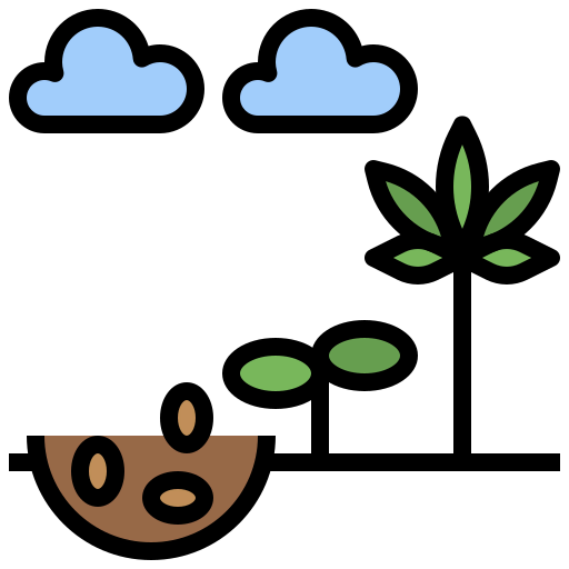 Germination icon