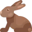 Rabbit icon 64x64