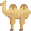 Camel icon 64x64