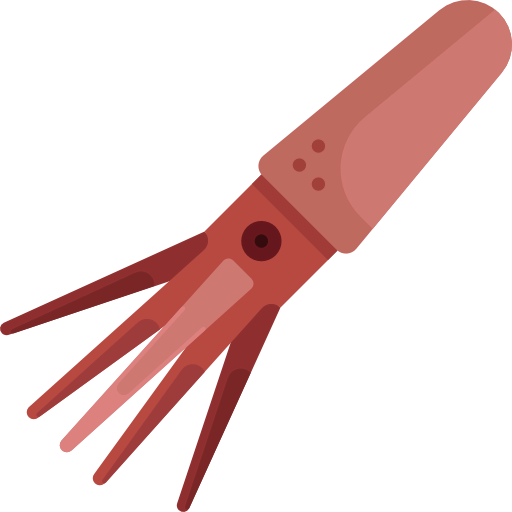Squid icon