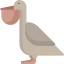 Pelican icon 64x64