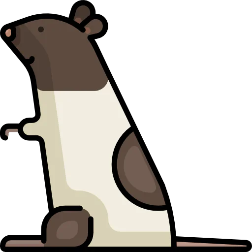 Rat 图标