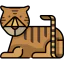 Tiger icon 64x64