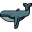Whale icon 64x64