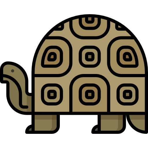 Turtle 상