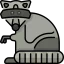 Racoon icon 64x64
