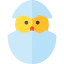 Chick icône 64x64